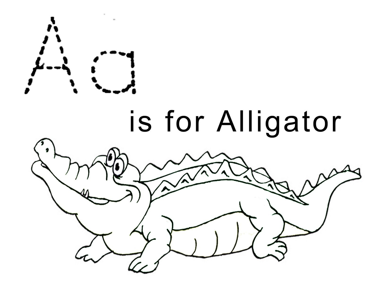 Alligator for Coloring Kids