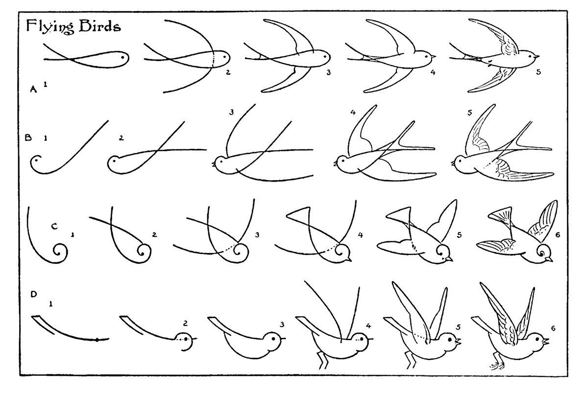 Handykiddy: Как нарисовать ласточку в полёте