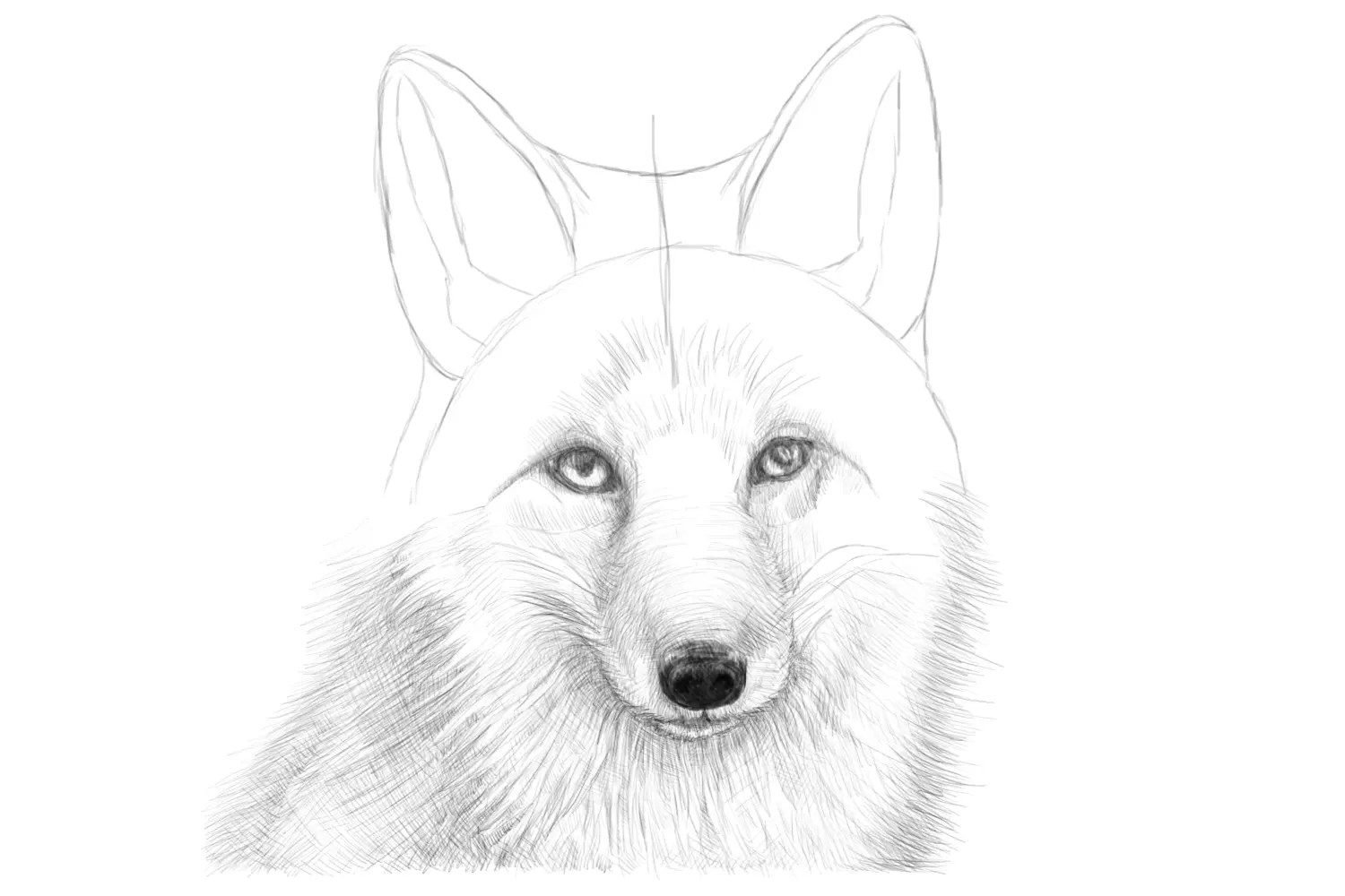 Как нарисовать морду лисы