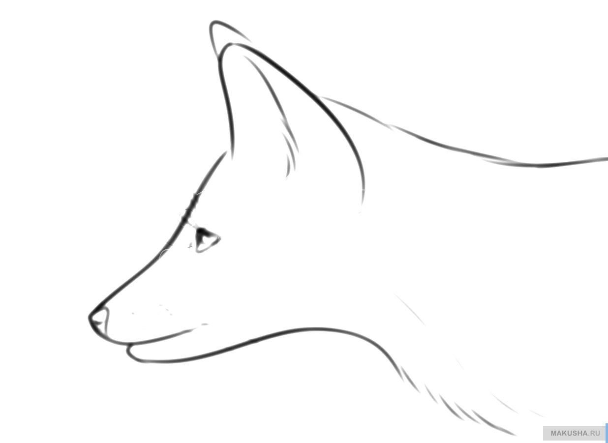 Обыкновенная лисица лёгкая для рисования