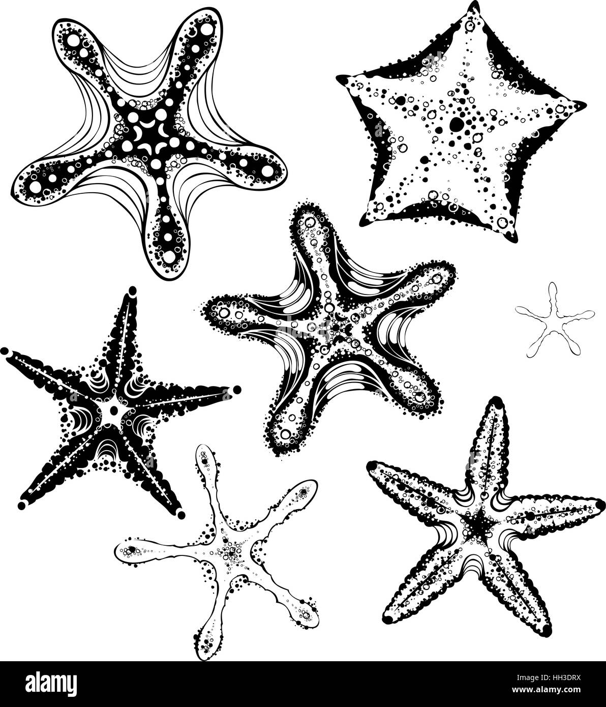 Стилизованные морские звезды