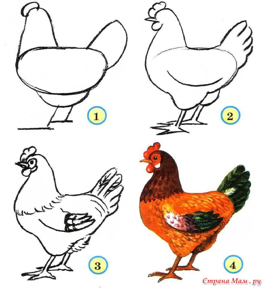 How to Draw Farm Animals Easy