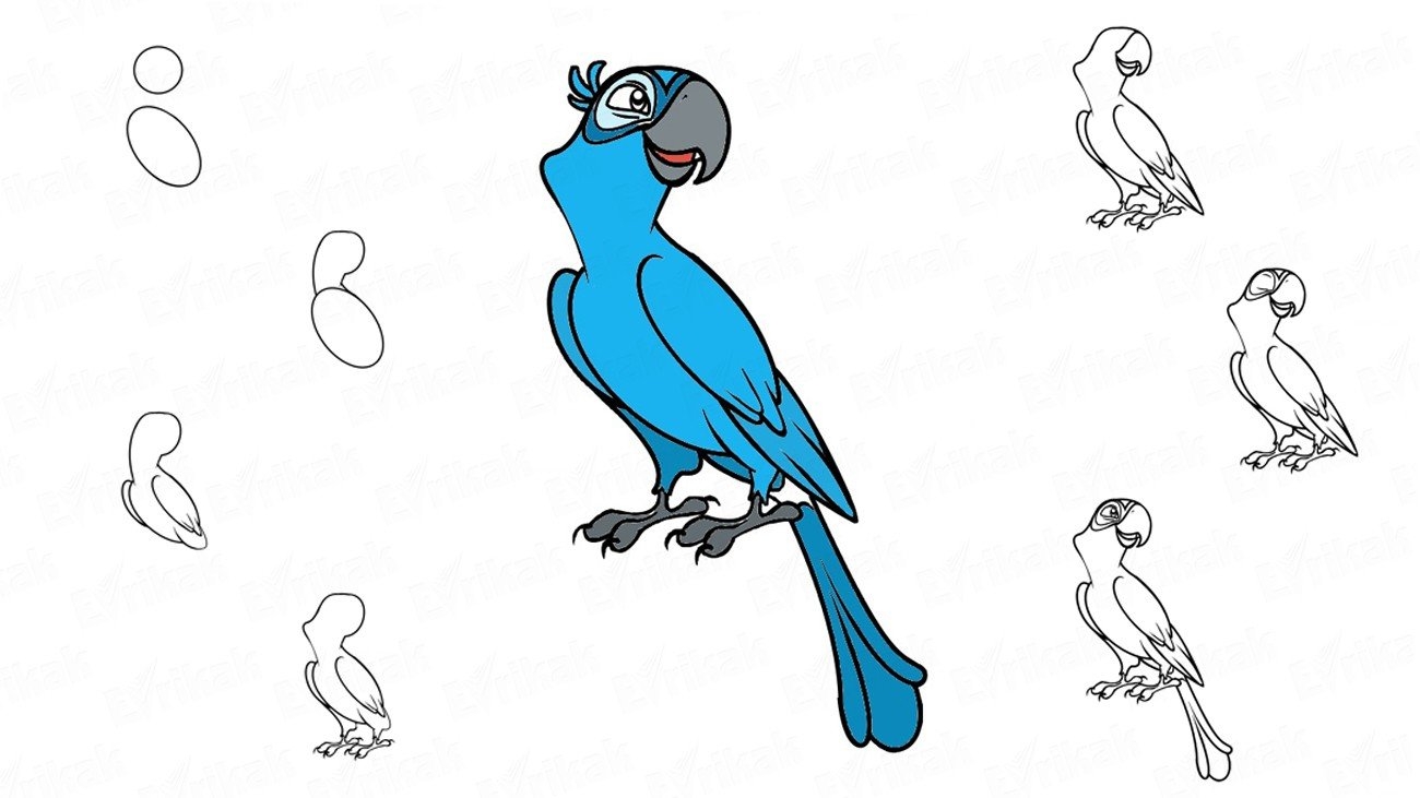 Пошаговое рисование попугая для детей