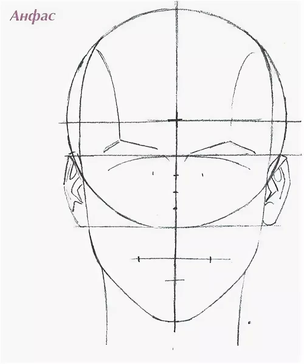 Схема лица человека для рисования