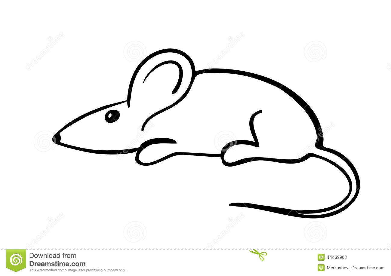 Мышь контур на белом фоне