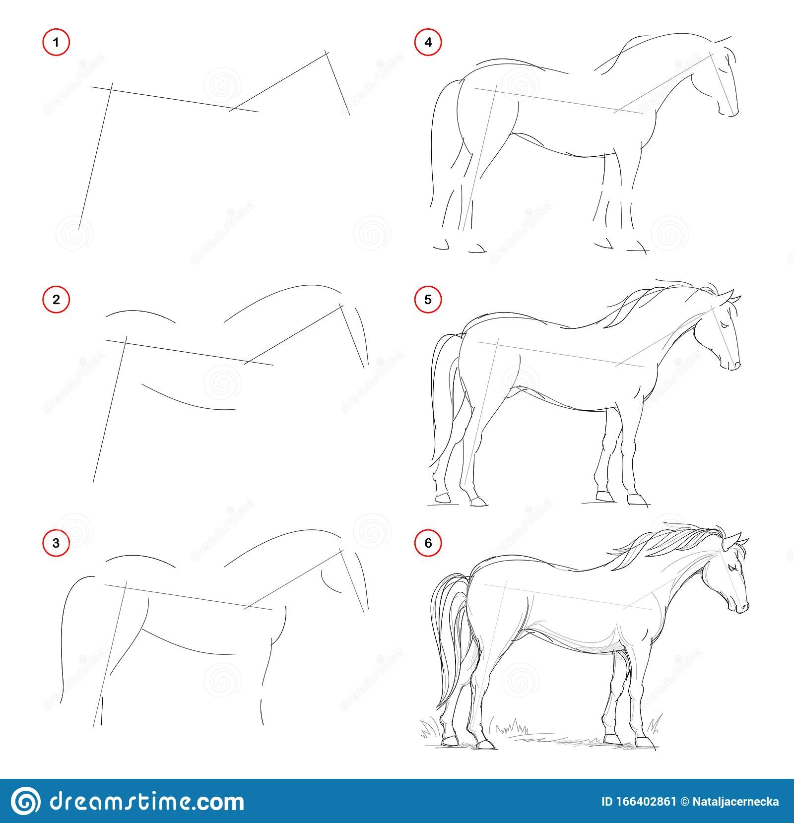 Как рисовать лошадей с человеком шаг за шагом
