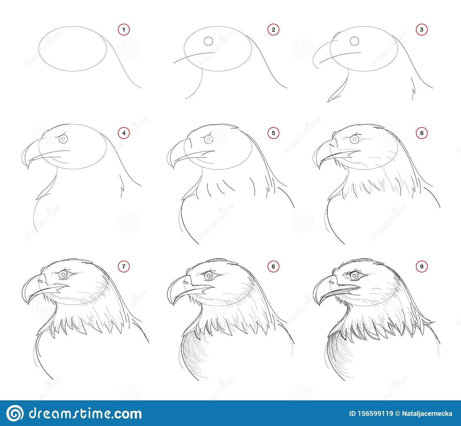 Нарисовать орла пошагово