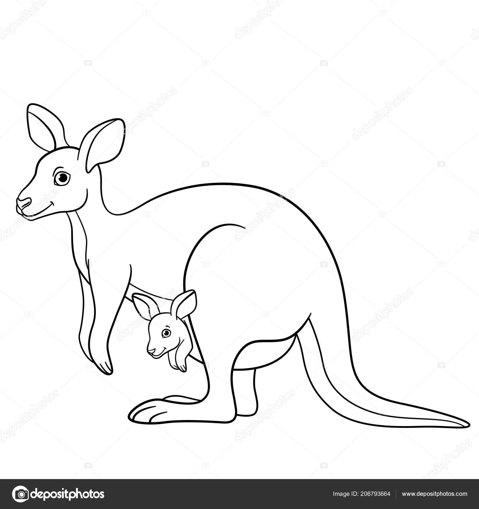 Рисуем кенгуру с детенышем в сумке