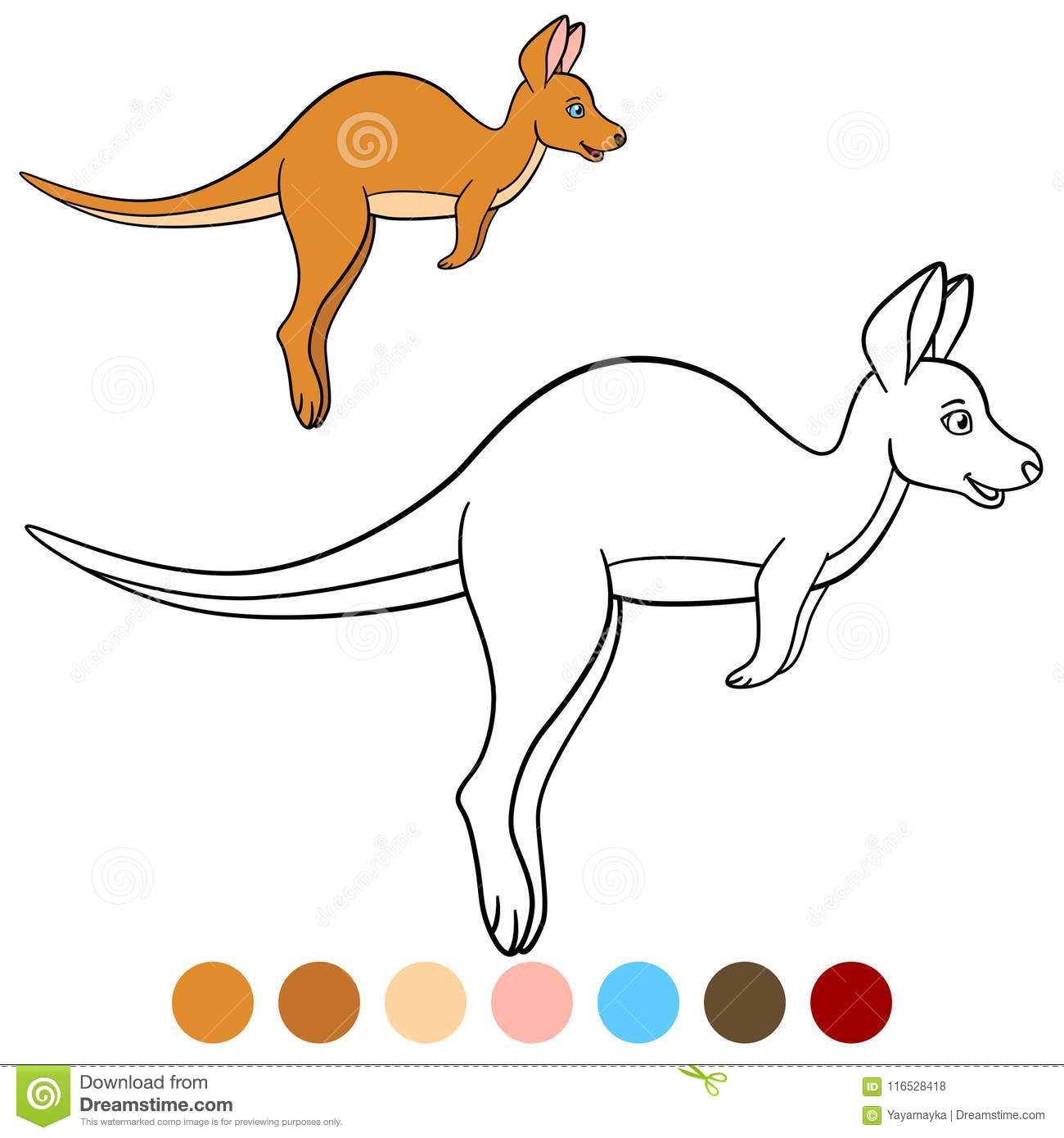 Новорожденный кенгуру рисунок