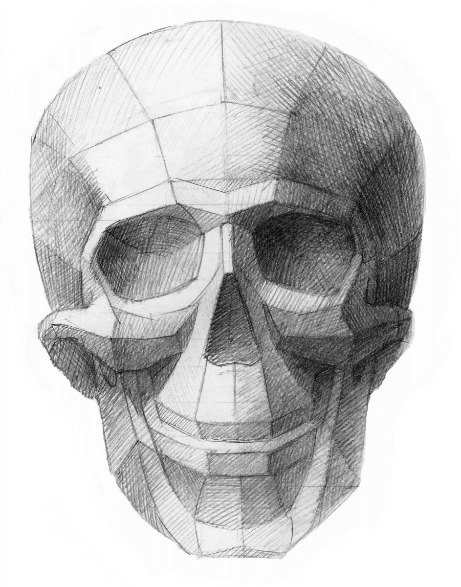 Обрубовка черепа Академический рисунок