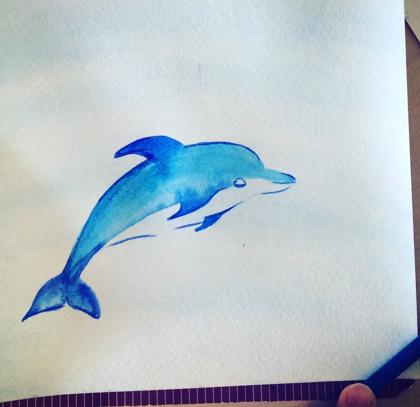 Картинка дельфина для срисовки