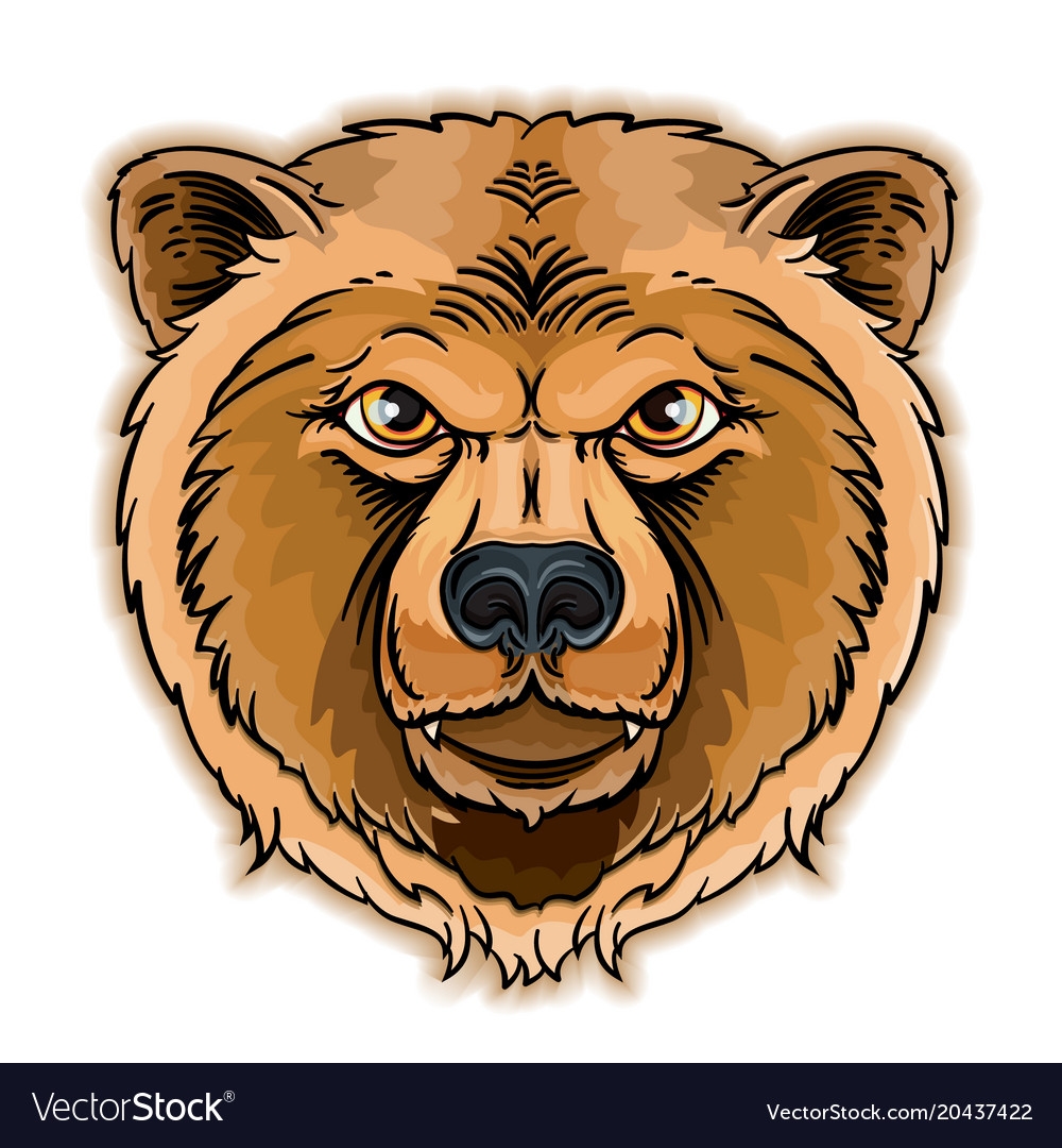 Голова медведя вектор