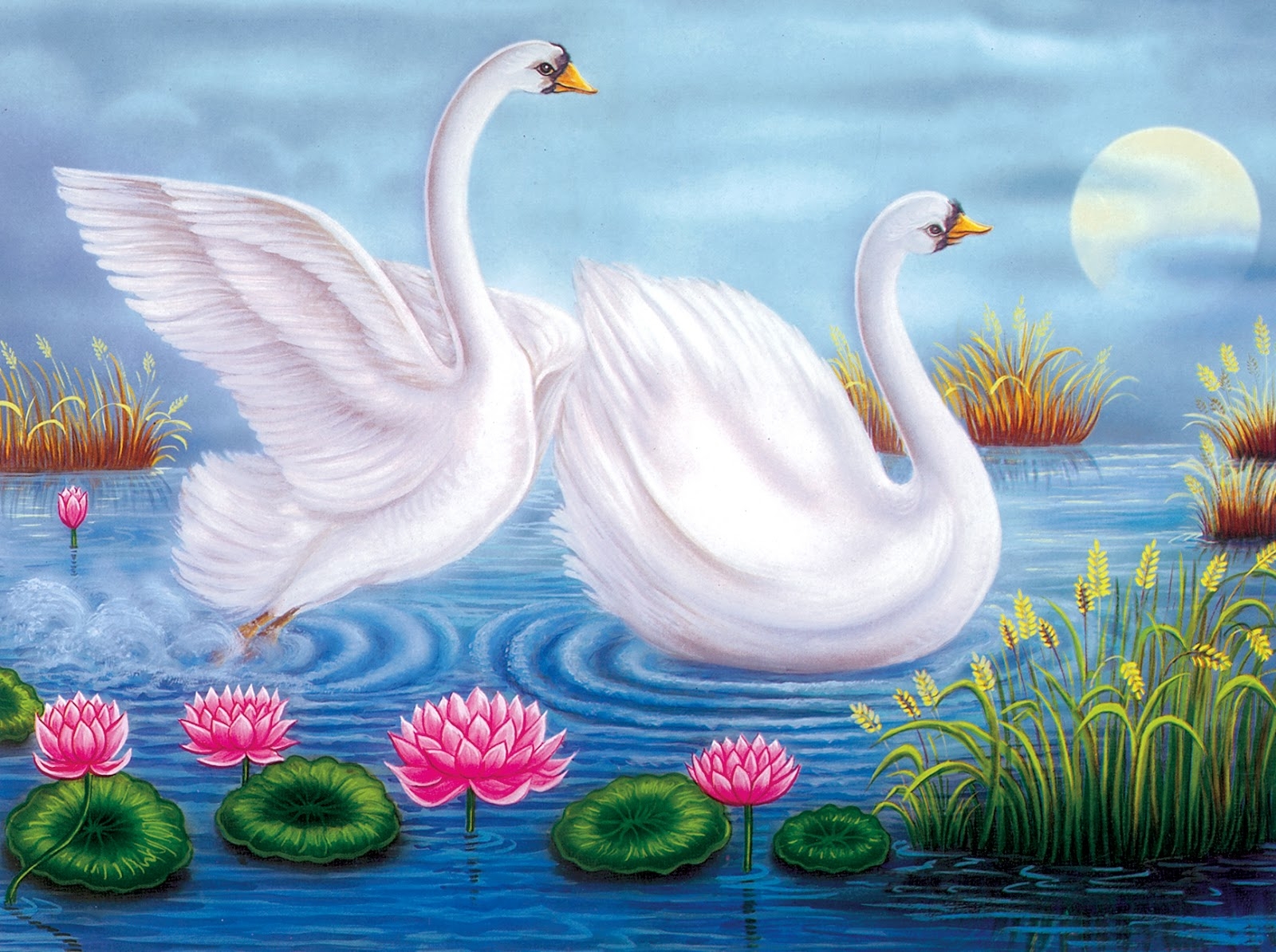 Лебединое озеро для детей. Лебедь рисунок. Лебединое озеро иллюстрации. Лебедь в искусстве. Лебединое озеро рисунок.