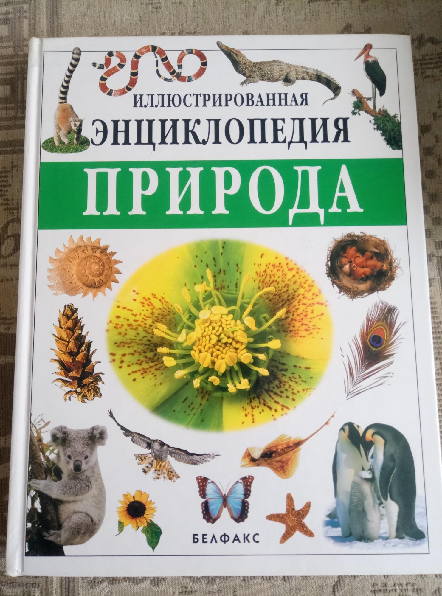 Картинки Книг О Природе