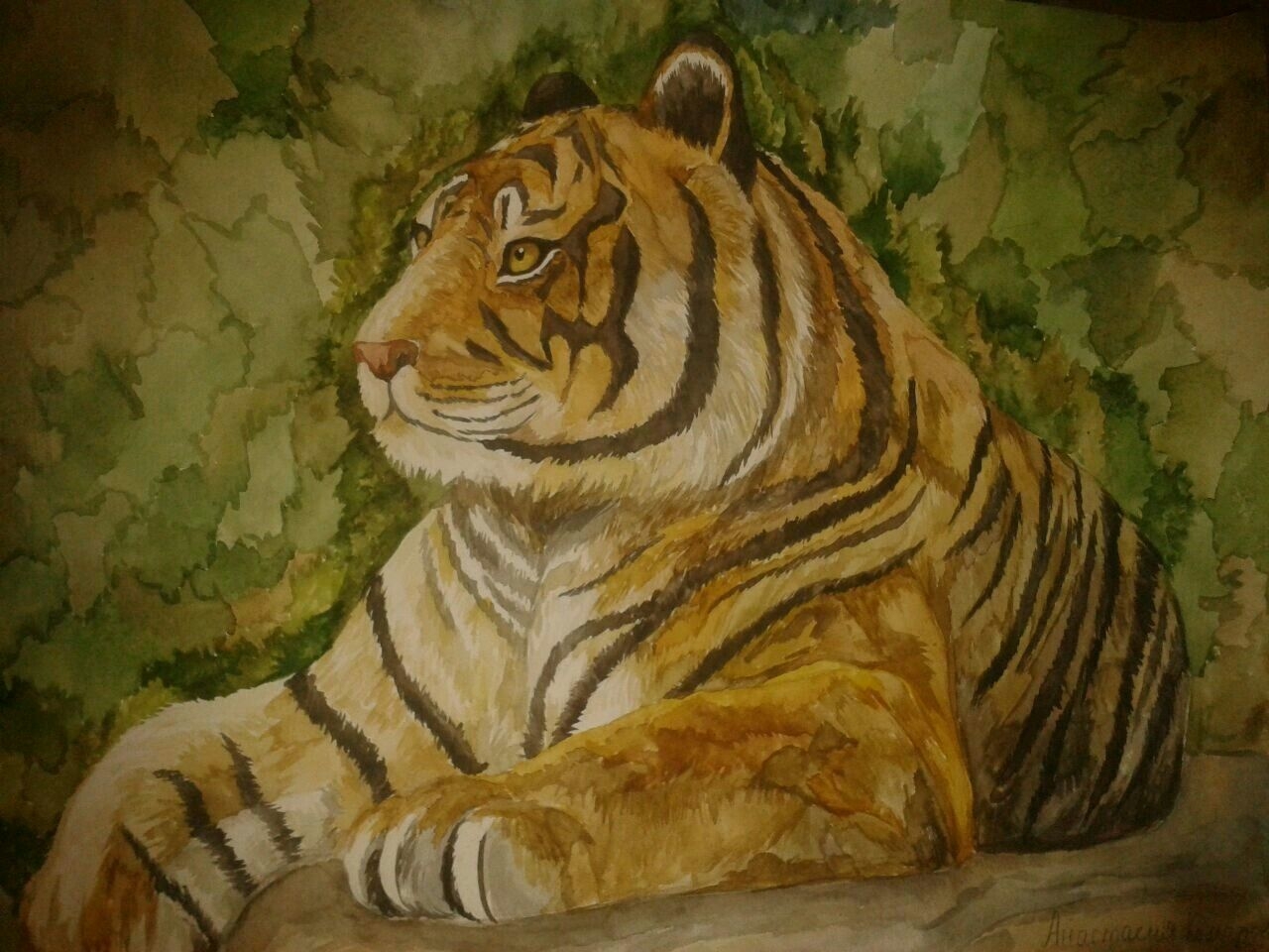 Как нарисовать тигра акварелью