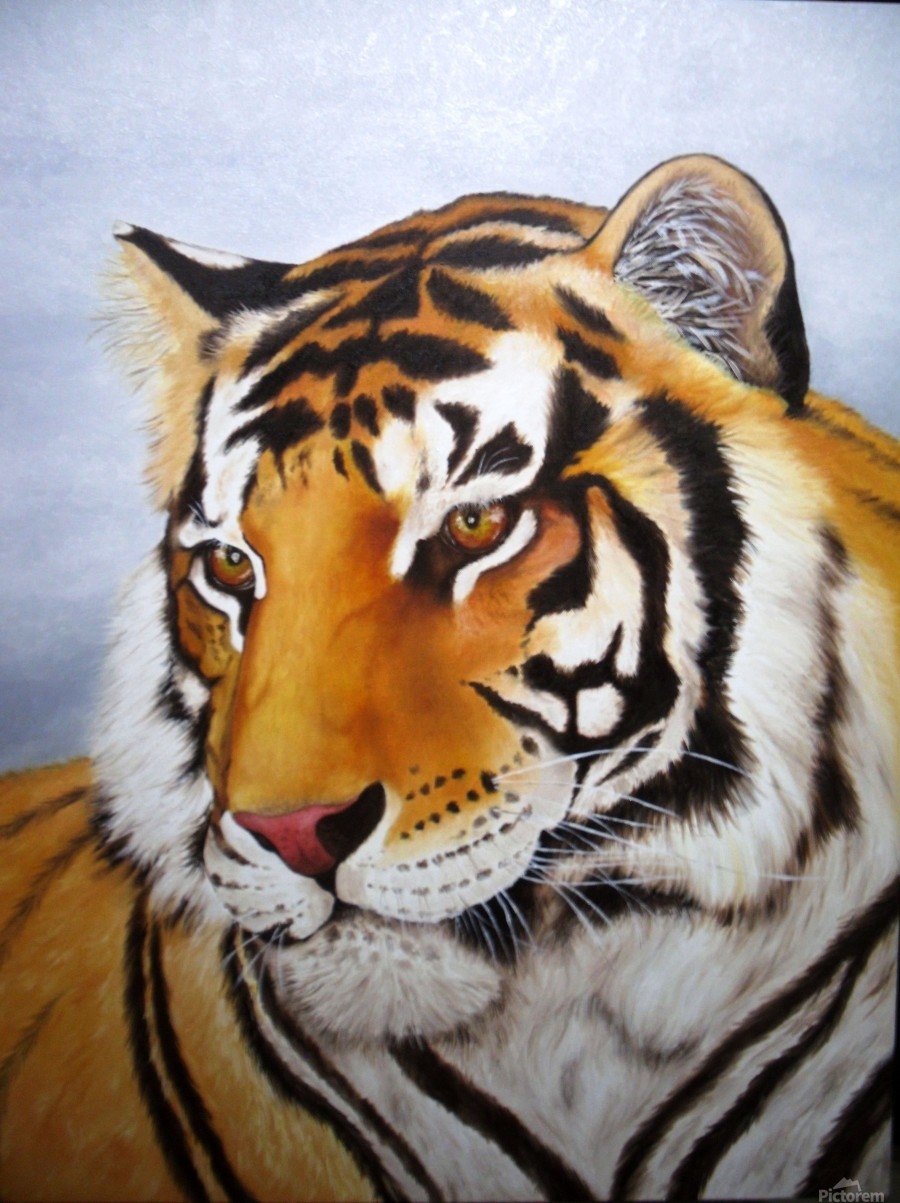 Тигр красками