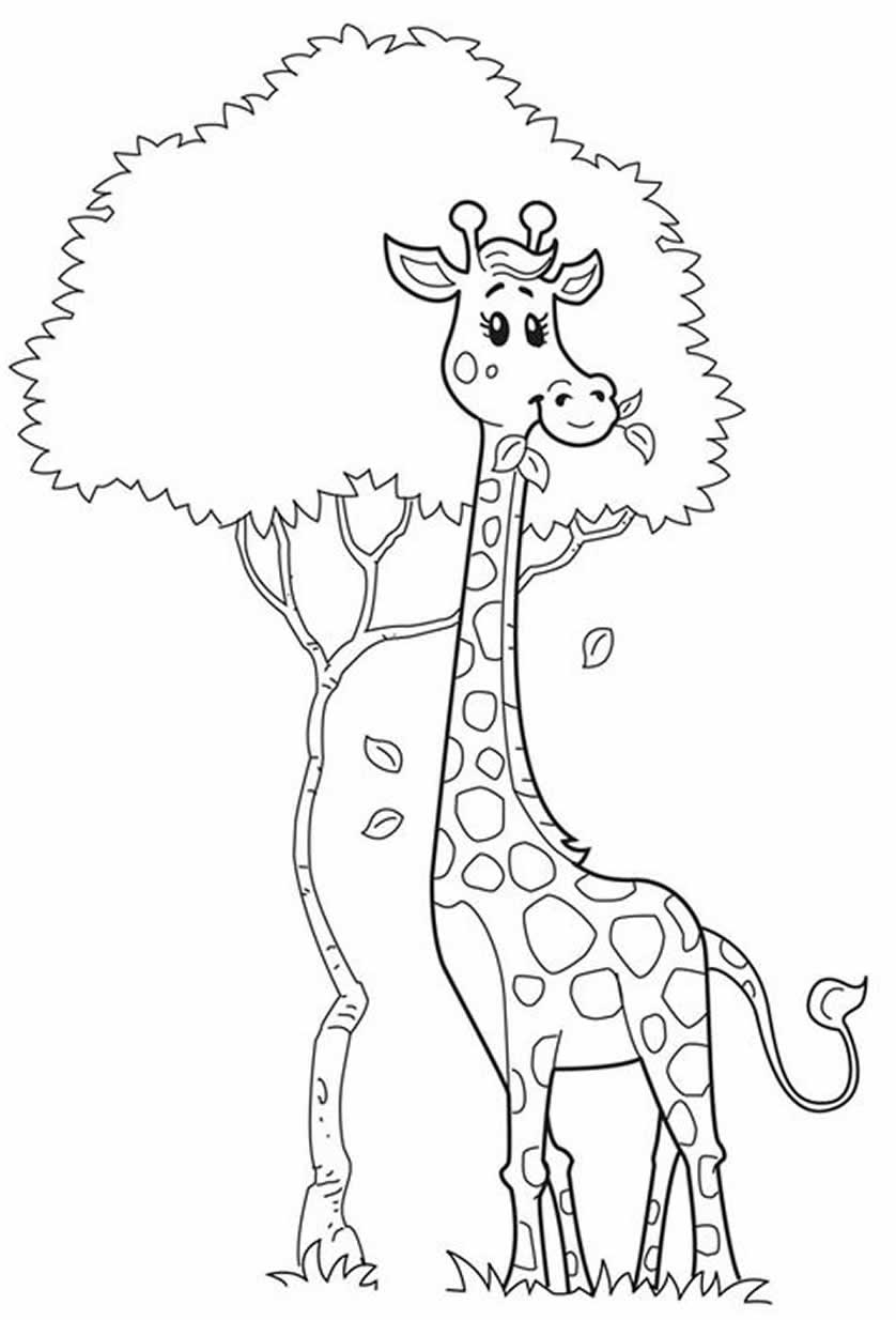 Жираф рисунок для детей раскраска