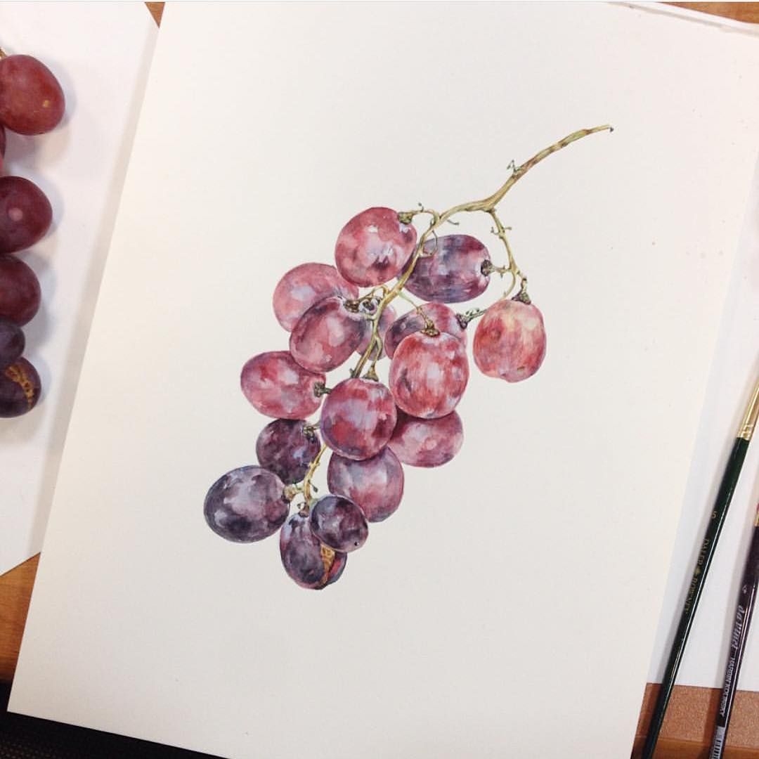 Виноград реалистичный рисунок