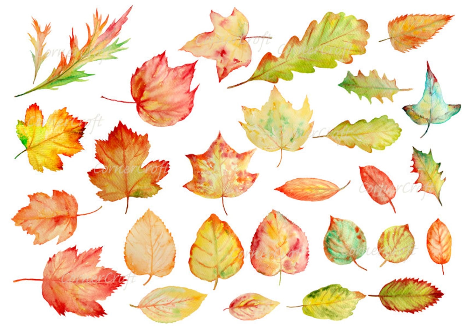 Лист рисунок цветной. Осенние листья акварель. Осенние илистьяакварелью. Листья рисунок. Осенние листьятакварель.
