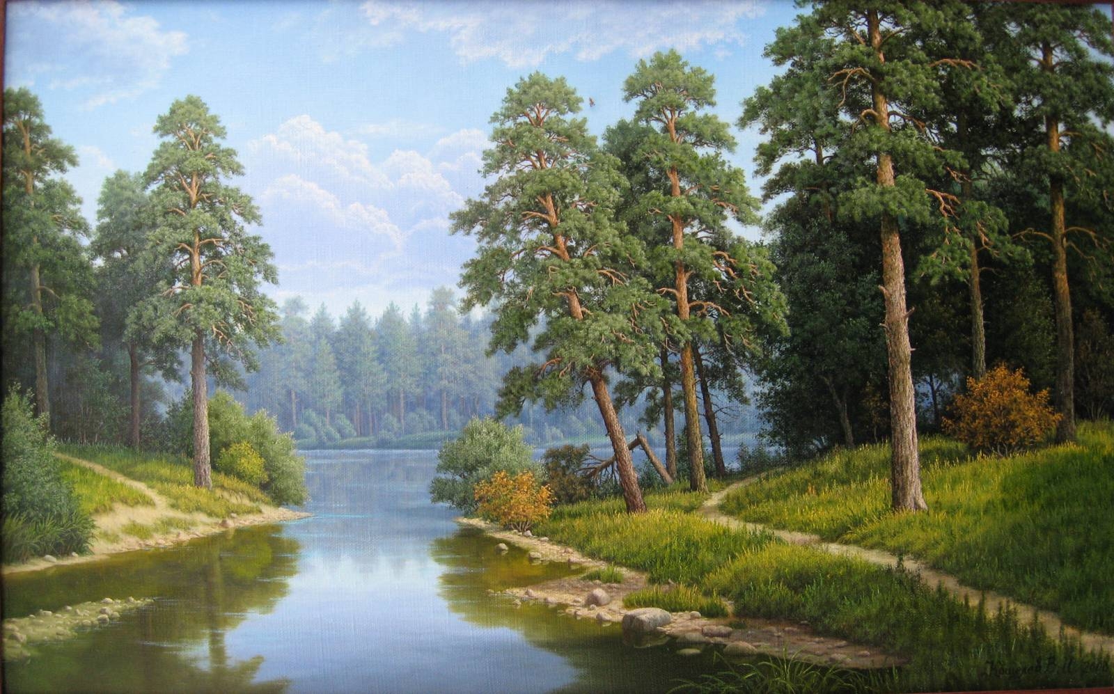лесные пейзажи с рекой