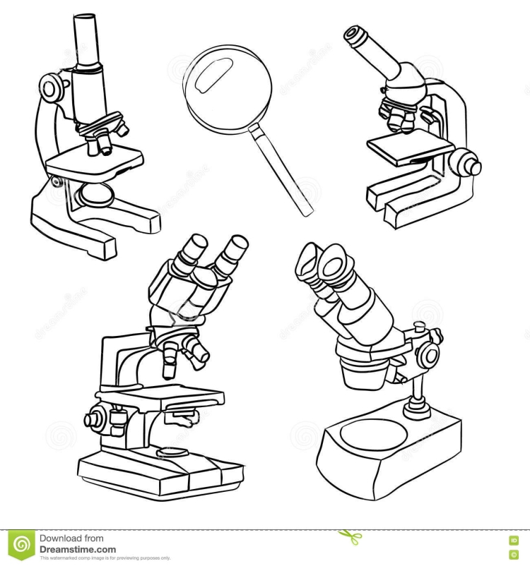 Микроскоп Легкий Рисунок - 69 Фото