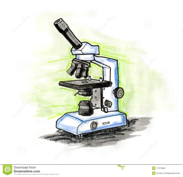Микроскоп Легкий Рисунок - 69 Фото