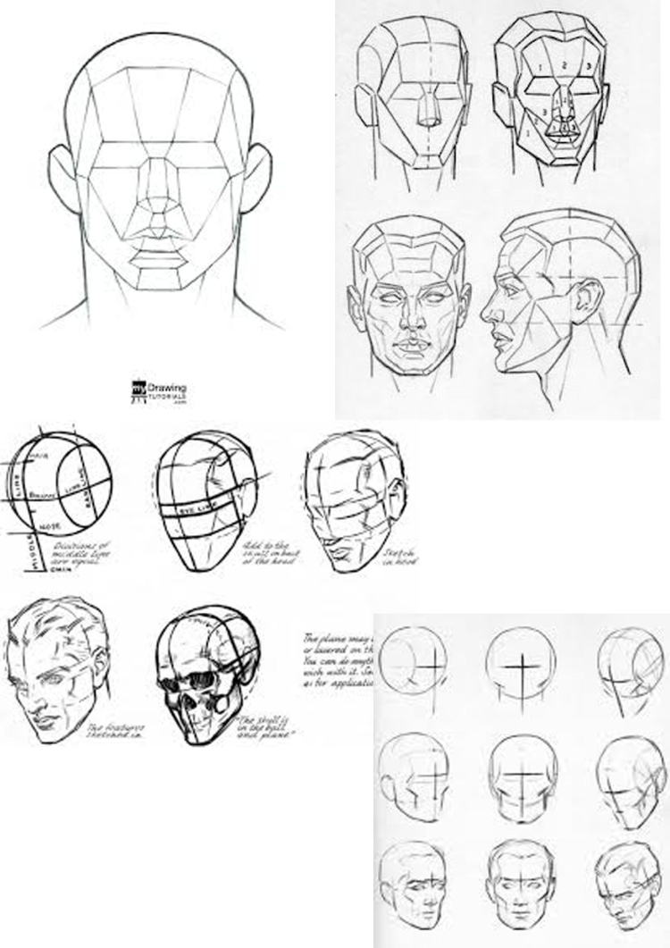 Рисовать строение головы