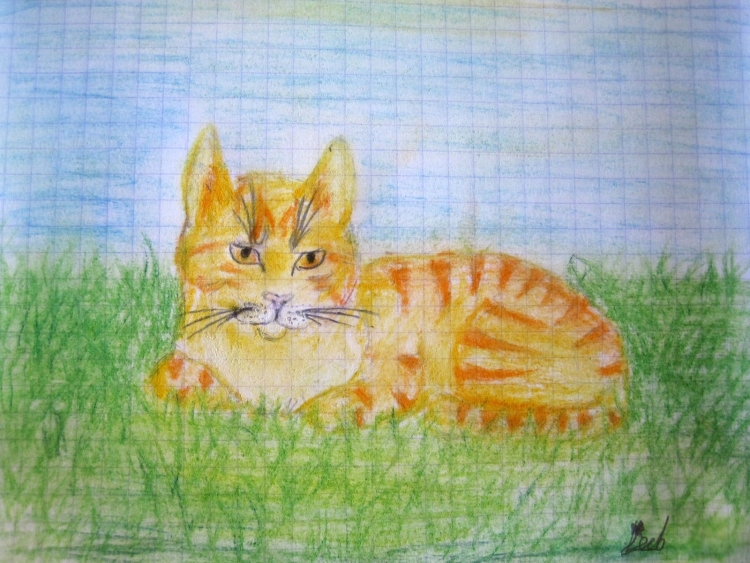 Кот рыжий рисунок карандашом
