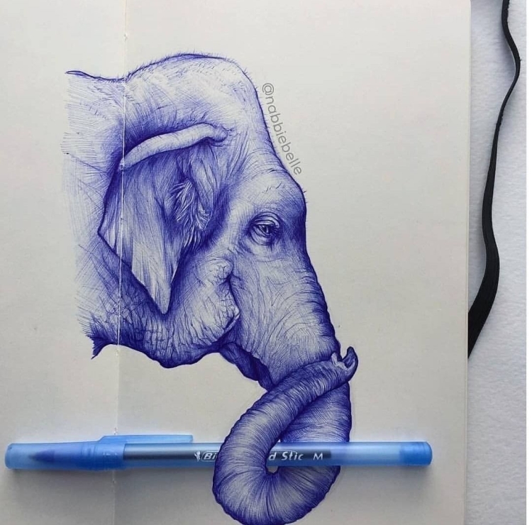 Рисунки животные карандашами цветными