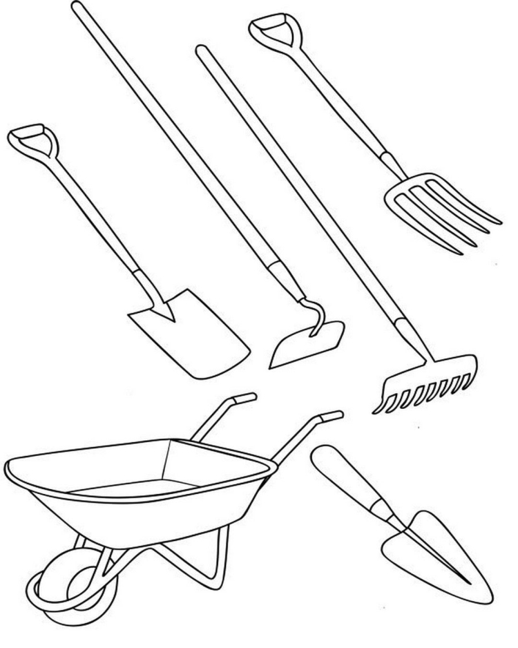 Инструменты для работы в огороде и саду картинки для детей
