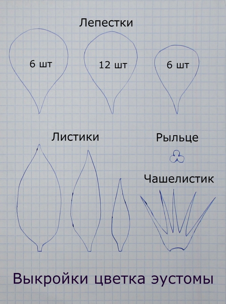 Шаблоны цветов из фоамирана