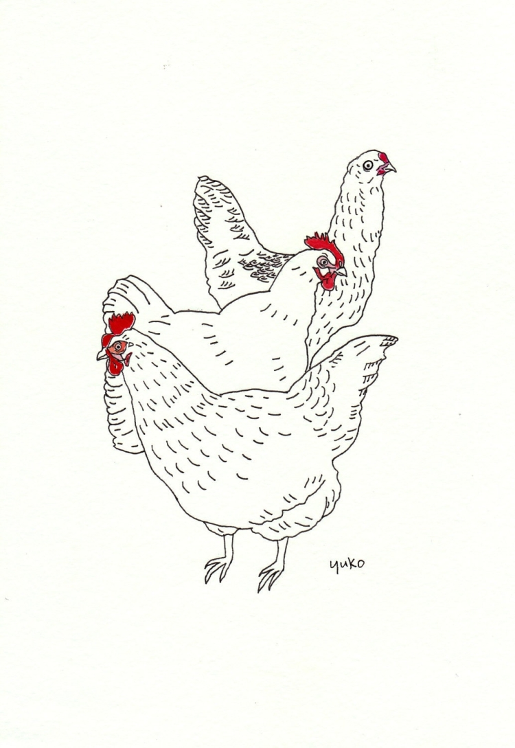 Курица простым карандашом