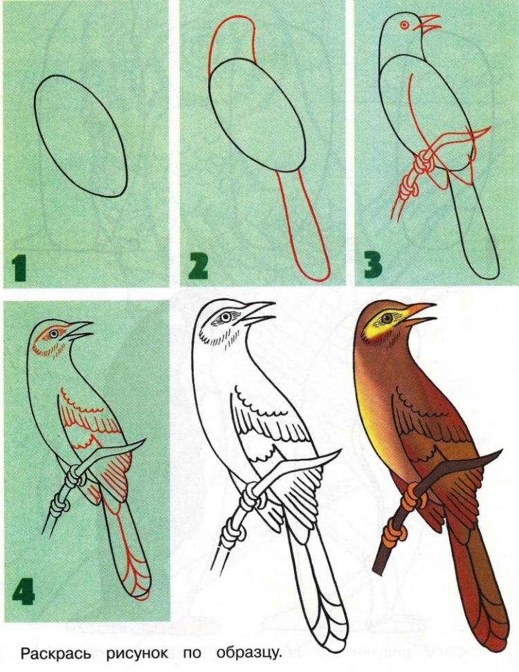 Птицы нарисовать легко (34 фото)